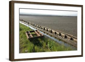 Trolley-akorotaev-Framed Photographic Print