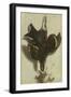 Trompe L'oeil of a Black Grouse and Finches-Jacobus Biltius-Framed Giclee Print