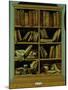 Trompe L'Oeil of a Bookcase, 1710-20-Giuseppe Maria Crespi-Mounted Giclee Print