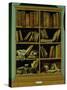Trompe L'Oeil of a Bookcase, 1710-20-Giuseppe Maria Crespi-Stretched Canvas