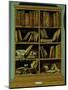 Trompe L'Oeil of a Bookcase, 1710-20-Giuseppe Maria Crespi-Mounted Giclee Print