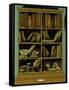 Trompe L'Oeil of a Bookcase, 1710-20-Giuseppe Maria Crespi-Framed Stretched Canvas