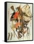 Trompe L`Oeil of Military Equipment (Oil)-Jacobus Biltius-Framed Stretched Canvas