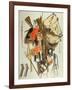 Trompe L`Oeil of Military Equipment (Oil)-Jacobus Biltius-Framed Giclee Print