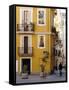 Trompe L'Oeil Paintings on Facades, St. Nicolas Square, Valencia, Spain, Europe-Thouvenin Guy-Framed Stretched Canvas