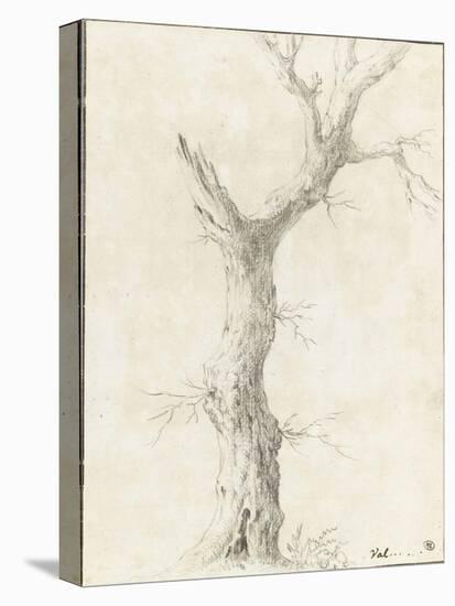 Tronc d'arbre dépouillé-Pierre Henri de Valenciennes-Stretched Canvas