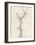 Tronc d'arbre dépouillé-Pierre Henri de Valenciennes-Framed Giclee Print