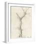 Tronc d'arbre dépouillé-Pierre Henri de Valenciennes-Framed Giclee Print