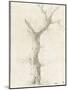 Tronc d'arbre dépouillé-Pierre Henri de Valenciennes-Mounted Giclee Print