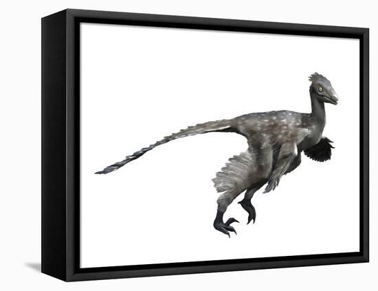 Troodon Dinosaur-null-Framed Stretched Canvas