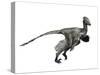 Troodon Dinosaur-null-Stretched Canvas