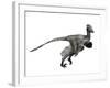 Troodon Dinosaur-null-Framed Art Print