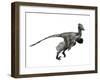 Troodon Dinosaur-null-Framed Art Print