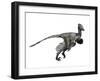 Troodon Dinosaur-null-Framed Art Print