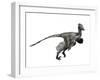 Troodon Dinosaur-null-Framed Art Print