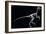 Troodon Skeleton, Dinosaurs-Encyclopaedia Britannica-Framed Art Print