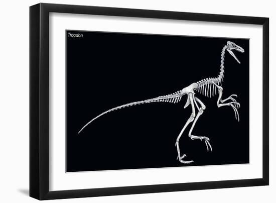 Troodon Skeleton, Dinosaurs-Encyclopaedia Britannica-Framed Art Print