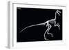 Troodon Skeleton, Dinosaurs-Encyclopaedia Britannica-Framed Art Print