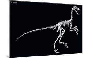 Troodon Skeleton, Dinosaurs-Encyclopaedia Britannica-Mounted Art Print