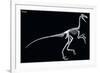 Troodon Skeleton, Dinosaurs-Encyclopaedia Britannica-Framed Art Print