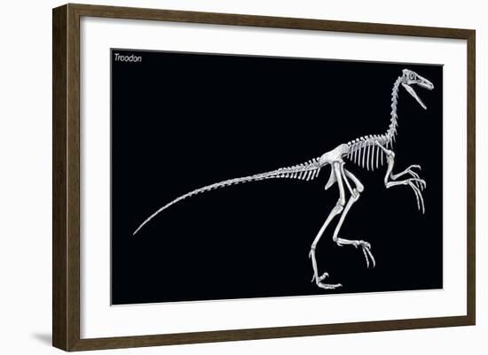 Troodon Skeleton, Dinosaurs-Encyclopaedia Britannica-Framed Art Print