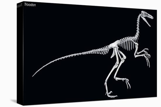 Troodon Skeleton, Dinosaurs-Encyclopaedia Britannica-Stretched Canvas