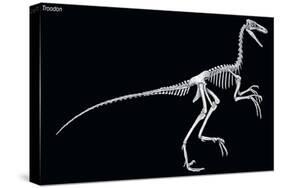Troodon Skeleton, Dinosaurs-Encyclopaedia Britannica-Stretched Canvas