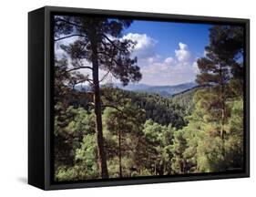 Troodos Mountains, Cyprus-Rex Butcher-Framed Stretched Canvas