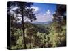 Troodos Mountains, Cyprus-Rex Butcher-Stretched Canvas