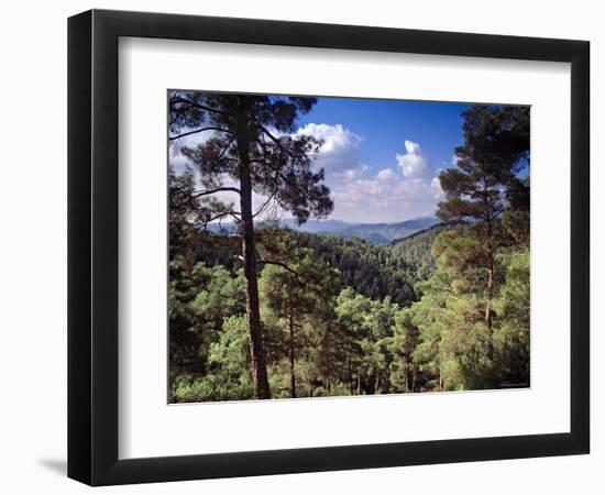 Troodos Mountains, Cyprus-Rex Butcher-Framed Photographic Print