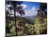 Troodos Mountains, Cyprus-Rex Butcher-Mounted Photographic Print