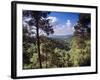 Troodos Mountains, Cyprus-Rex Butcher-Framed Photographic Print