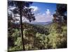 Troodos Mountains, Cyprus-Rex Butcher-Mounted Photographic Print