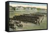 Troop Parade, Ft. Oglethorpe-null-Framed Stretched Canvas