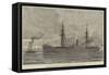 Troop-Ships for the Zulu War Reinforcements, the Dublin Castle-null-Framed Stretched Canvas