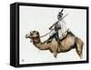 Trooper of the Camel Corps of the First Napoleon's Egyptian Army, 1790s-null-Framed Stretched Canvas