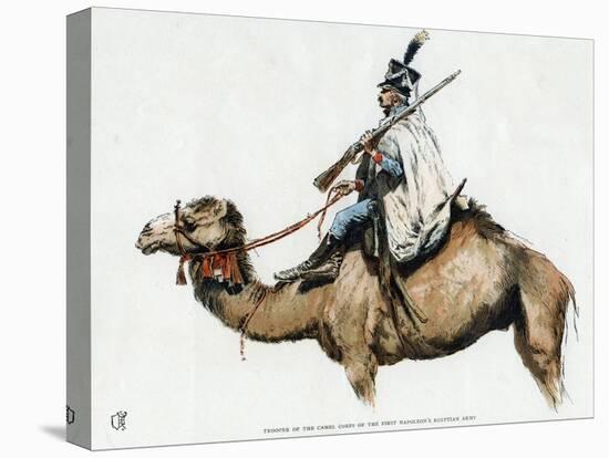 Trooper of the Camel Corps of the First Napoleon's Egyptian Army, 1790s-null-Stretched Canvas