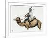 Trooper of the Camel Corps of the First Napoleon's Egyptian Army, 1790s-null-Framed Giclee Print