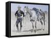 Trooper of the Plains-Frederic Sackrider Remington-Framed Stretched Canvas