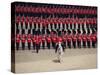 Trooping the Colour, London, England, United Kingdom-Hans Peter Merten-Stretched Canvas