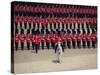 Trooping the Colour, London, England, United Kingdom-Hans Peter Merten-Stretched Canvas