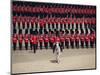 Trooping the Colour, London, England, United Kingdom-Hans Peter Merten-Mounted Photographic Print