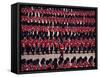 Trooping the Colour, London, England, United Kingdom-Hans Peter Merten-Framed Stretched Canvas