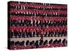 Trooping the Colour, London, England, United Kingdom-Hans Peter Merten-Stretched Canvas