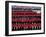 Trooping the Colour, London, England-Steve Vidler-Framed Photographic Print