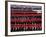 Trooping the Colour, London, England-Steve Vidler-Framed Photographic Print