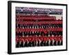 Trooping the Colour, London, England-Steve Vidler-Framed Photographic Print