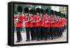 Trooping the Colour parade 2015-Associated Newspapers-Framed Stretched Canvas