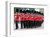 Trooping the Colour parade 2015-Associated Newspapers-Framed Photo