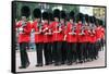 Trooping the Colour parade 2015-Associated Newspapers-Framed Stretched Canvas